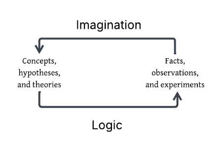 cycle icon with imagination points to concepts, hypotheses, and theories and logic pointing to facts, observation, and experiments